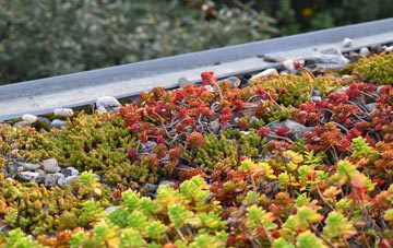 the cost of West Burrafirth green roof installation
