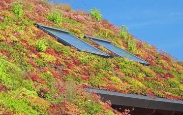 West Burrafirth living roof systems